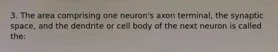 3. The area comprising one neuron's axon terminal, the synaptic space, and the dendrite or cell body of the next neuron is called the: