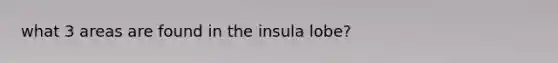 what 3 areas are found in the insula lobe?