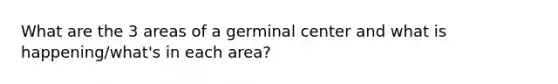 What are the 3 areas of a germinal center and what is happening/what's in each area?