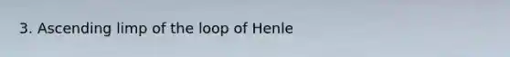 3. Ascending limp of the loop of Henle