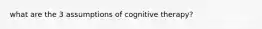 what are the 3 assumptions of cognitive therapy?