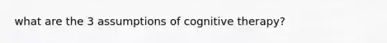 what are the 3 assumptions of cognitive therapy?