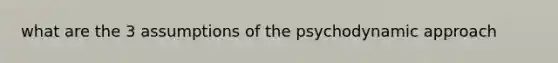 what are the 3 assumptions of the psychodynamic approach