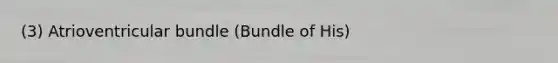 (3) Atrioventricular bundle (Bundle of His)