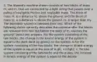 3. The Atwood's machine shown consists of two blocks of mass m, and m, that are connected by a light string that passes over a pulley of negligible friction and negligible mass. The block of mass m, is a distance h1 above the ground, and the block of mass m, is a distance h, above the ground. m, is larger than my. The two-block system is released from rest. Which of the following claims correctly describes the outcome after the blocks are released from rest but before the block of m, reaches the ground? Select two answers. For the system consisting of the two blocks, the change in the kinetic energy of the system is equal to the work done by gravity on the system. A.For the system consisting of the two blocks, the change in kinetic energy of the system is equal to the sum of m,gh, +m2gh2. c. For the system consisting of the two blocks and the pulley, the increase in kinetic energy of the system is equal to the decrea