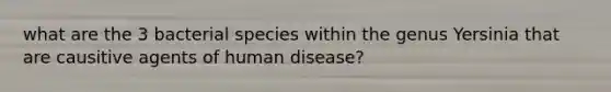 what are the 3 bacterial species within the genus Yersinia that are causitive agents of human disease?