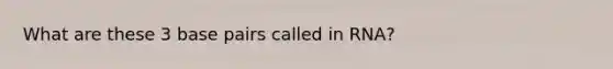 What are these 3 base pairs called in RNA?