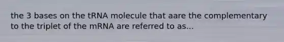 the 3 bases on the tRNA molecule that aare the complementary to the triplet of the mRNA are referred to as...