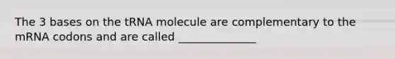 The 3 bases on the tRNA molecule are complementary to the mRNA codons and are called ______________