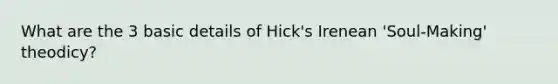 What are the 3 basic details of Hick's Irenean 'Soul-Making' theodicy?