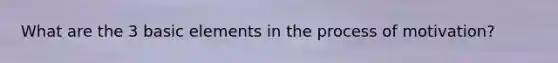 What are the 3 basic elements in the process of motivation?