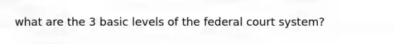 what are the 3 basic levels of the federal court system?