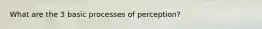 What are the 3 basic processes of perception?