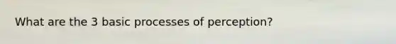 What are the 3 basic processes of perception?