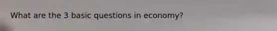 What are the 3 basic questions in economy?