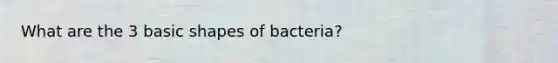 What are the 3 basic shapes of bacteria?