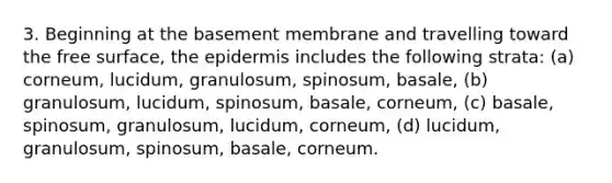 3. Beginning at the basement membrane and travelling toward the free surface, the epidermis includes the following strata: (a) corneum, lucidum, granulosum, spinosum, basale, (b) granulosum, lucidum, spinosum, basale, corneum, (c) basale, spinosum, granulosum, lucidum, corneum, (d) lucidum, granulosum, spinosum, basale, corneum.