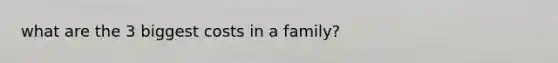 what are the 3 biggest costs in a family?