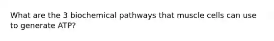 What are the 3 biochemical pathways that muscle cells can use to generate ATP?