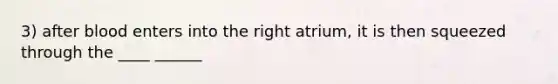 3) after blood enters into the right atrium, it is then squeezed through the ____ ______