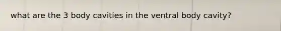 what are the 3 body cavities in the ventral body cavity?