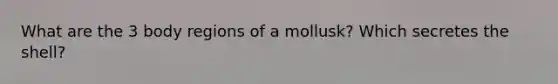 What are the 3 body regions of a mollusk? Which secretes the shell?