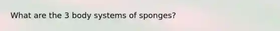 What are the 3 body systems of sponges?