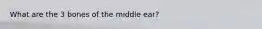 What are the 3 bones of the middle ear?