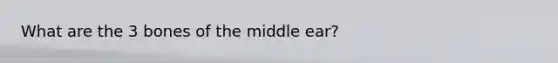 What are the 3 bones of the middle ear?