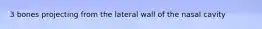 3 bones projecting from the lateral wall of the nasal cavity