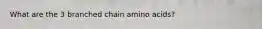What are the 3 branched chain amino acids?