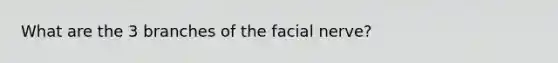 What are the 3 branches of the facial nerve?