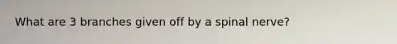 What are 3 branches given off by a spinal nerve?