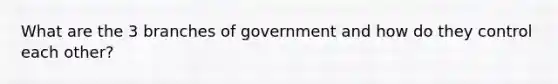 What are the 3 branches of government and how do they control each other?