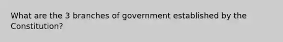 What are the 3 branches of government established by the Constitution?