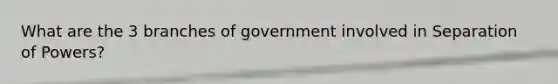 What are the 3 branches of government involved in Separation of Powers?