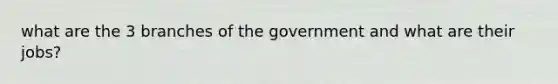 what are the 3 branches of the government and what are their jobs?