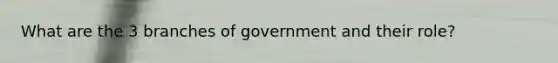 What are the 3 branches of government and their role?