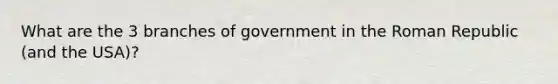 What are the 3 branches of government in the Roman Republic (and the USA)?