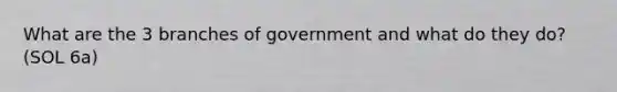 What are the 3 branches of government and what do they do? (SOL 6a)