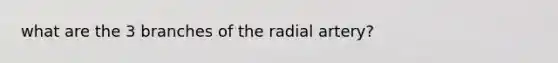 what are the 3 branches of the radial artery?