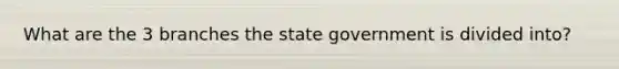 What are the 3 branches the state government is divided into?