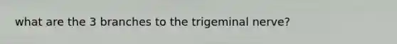 what are the 3 branches to the trigeminal nerve?