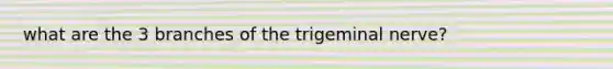 what are the 3 branches of the trigeminal nerve?