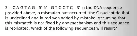 3' - C A G T A G - 5' 5' - G T C C T C - 3' In the DNA sequence provided above, a mismatch has occurred: the C nucleotide that is underlined and in red was added by mistake. Assuming that this mismatch is not fixed by any mechanism and this sequence is replicated, which of the following sequences will result?