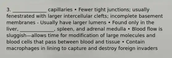 3. ______________ capillaries • Fewer tight junctions; usually fenestrated with larger intercellular clefts; incomplete basement membranes - Usually have larger lumens • Found only in the liver, ______________, spleen, and adrenal medulla • Blood flow is sluggish—allows time for modification of large molecules and blood cells that pass between blood and tissue • Contain macrophages in lining to capture and destroy foreign invaders