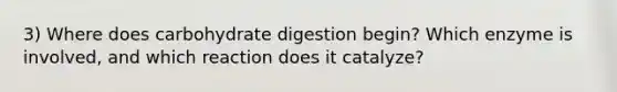 3) Where does carbohydrate digestion begin? Which enzyme is involved, and which reaction does it catalyze?