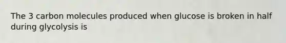 The 3 carbon molecules produced when glucose is broken in half during glycolysis is