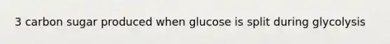 3 carbon sugar produced when glucose is split during glycolysis