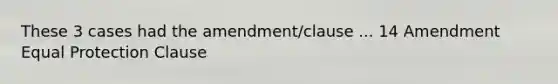 These 3 cases had the amendment/clause ... 14 Amendment Equal Protection Clause